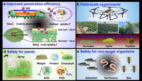 配资好评股票配资门户 水基化单分子纳米农药实现有害生物绿色防控